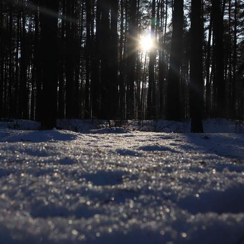 Photo #6985302