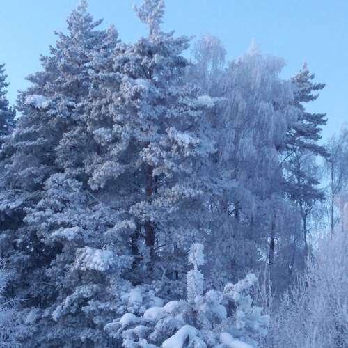 Photo #6985305