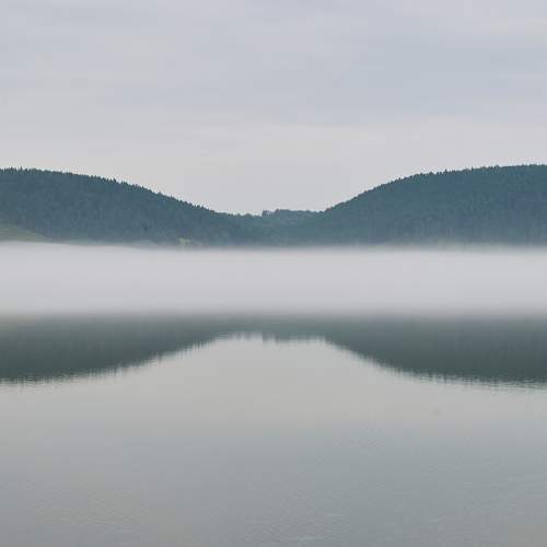 Photo #6985374