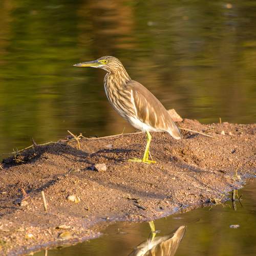 Photo #6985533
