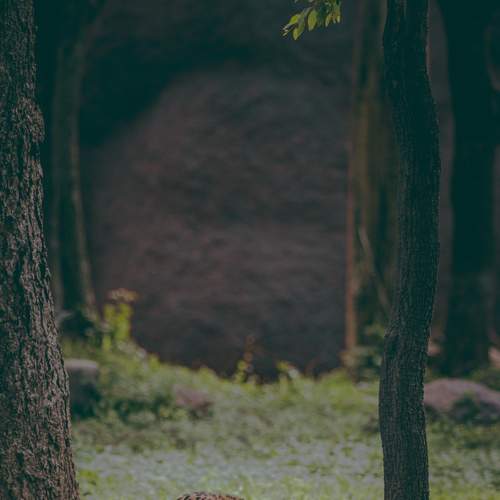Photo #6985559