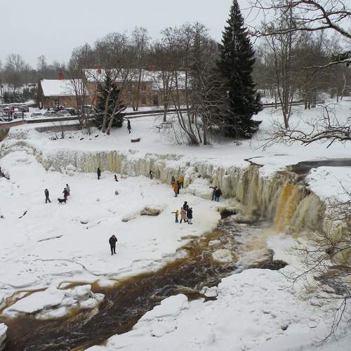 Photo #6985580