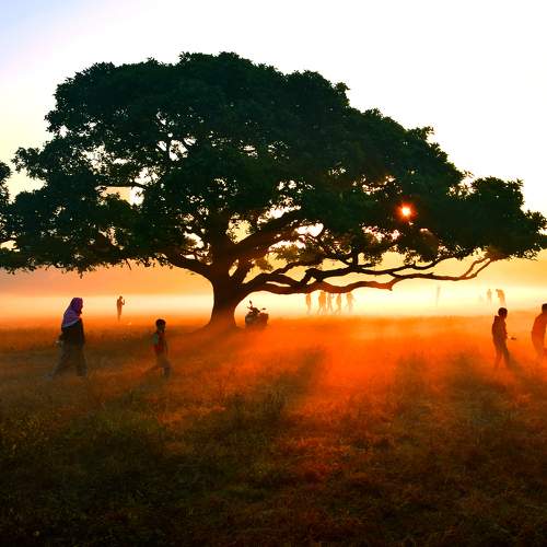 Фотография #6985629