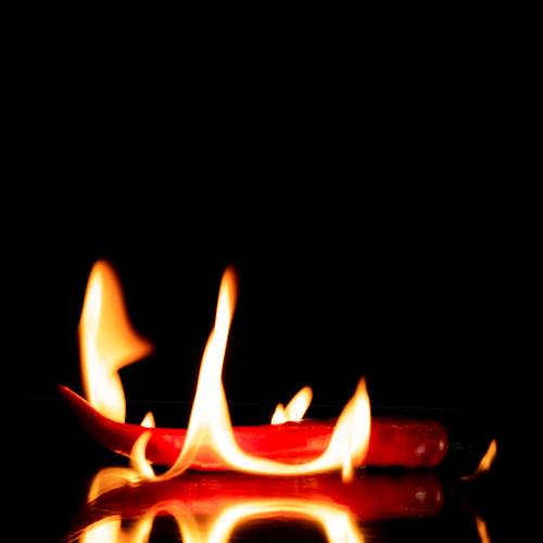 Photo #6985942