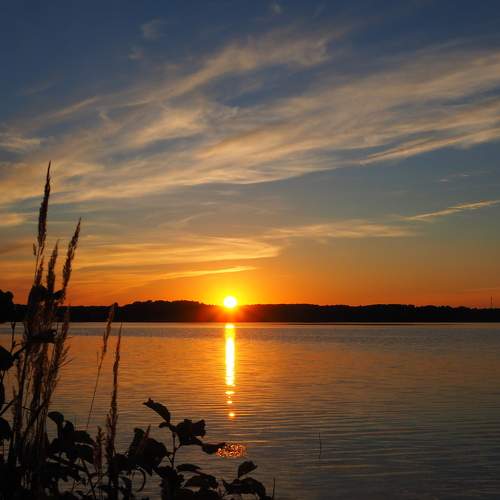 Photo #6986090
