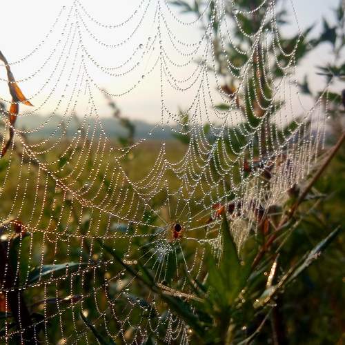 Photo #6986180