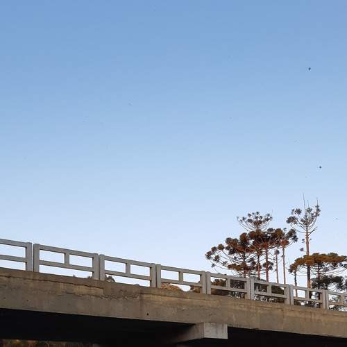 Photo #6986411