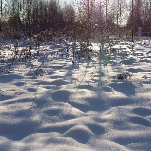 Photo #6986454