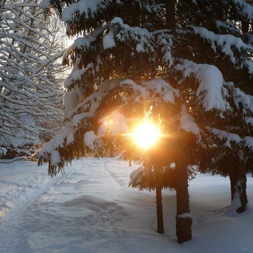 Photo #6986539
