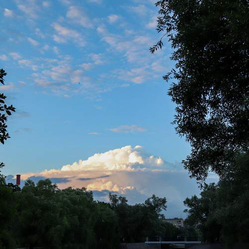 Photo #6986841