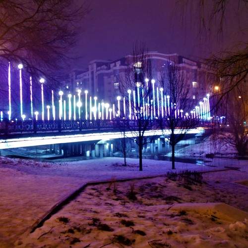 Photo #6986927