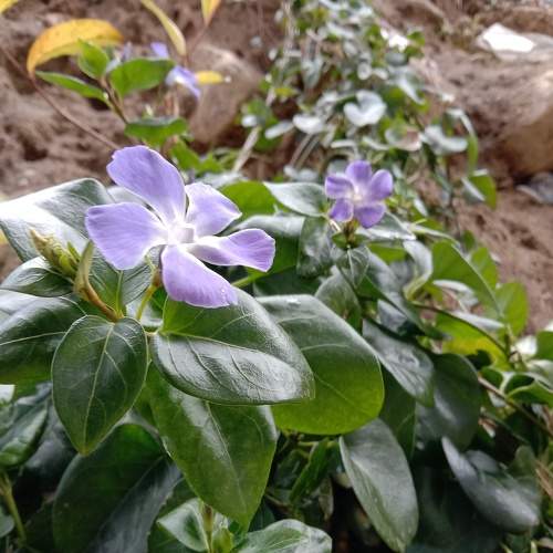 Photo #6986931