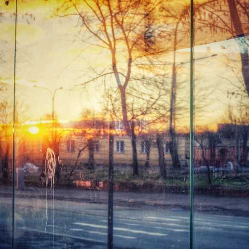 Photo #6987068