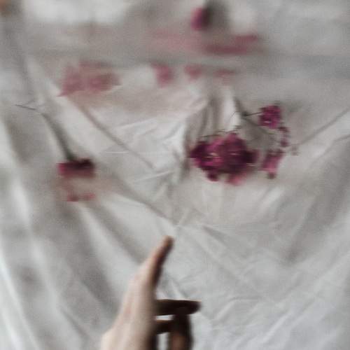 Photo #6987214
