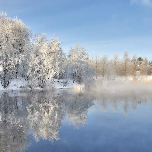Photo #6987521