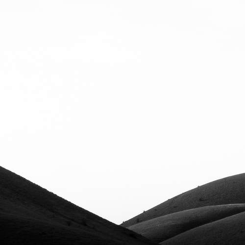 Photo #6987727