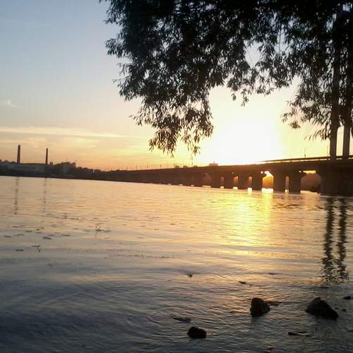 Photo #6987865