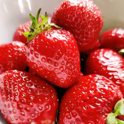 Photo #6987879