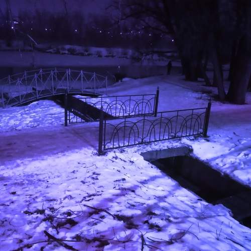 Photo #6987955