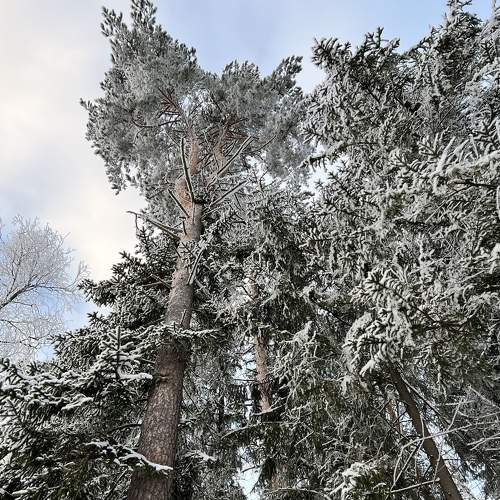 Photo #6987956
