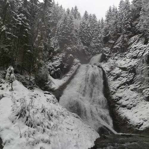 Photo #6988134