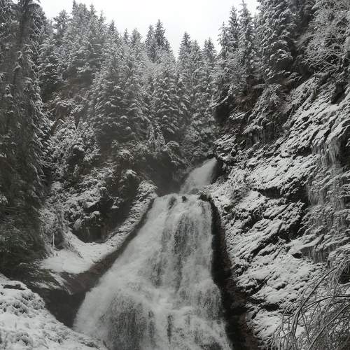 Photo #6988143