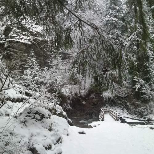 Photo #6988144