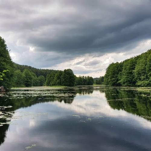 Photo #6988247