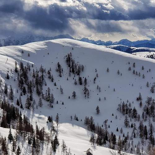 Photo #6988274