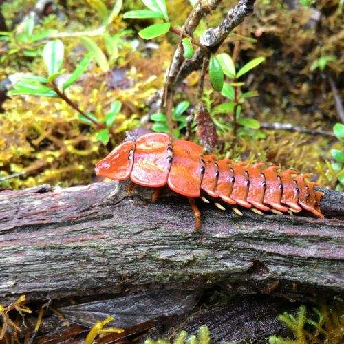 Photo #6988405