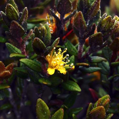 Photo #6988406