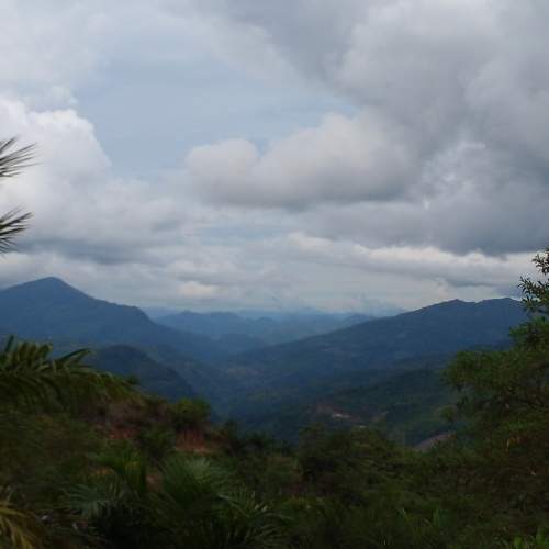 Photo #6988423