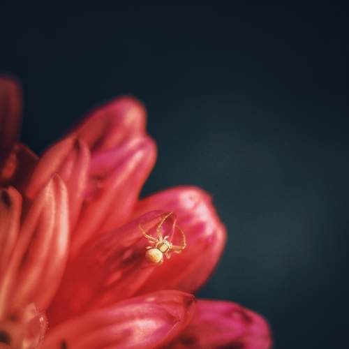 Photo #6988432