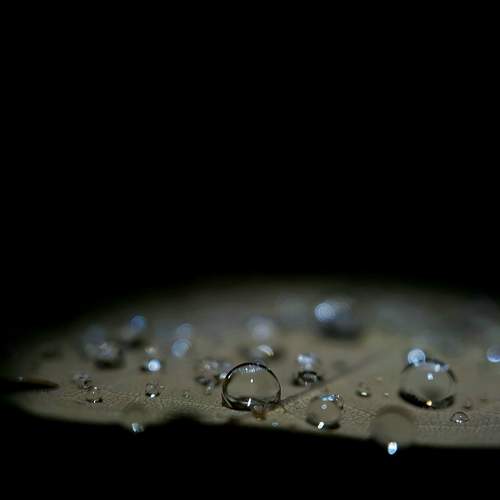 Photo #6988632