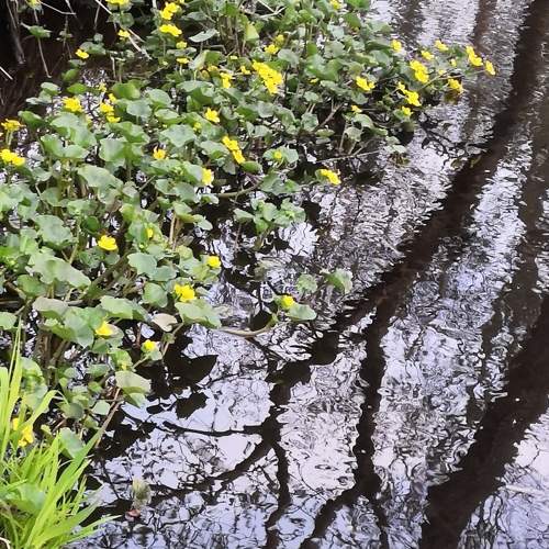 Photo #6988695