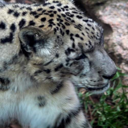 Photo #6988699