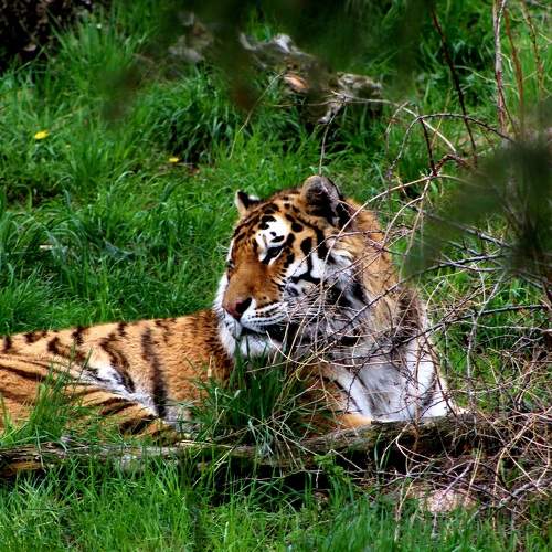 Photo #6988700