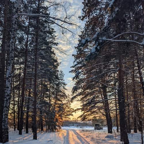 Photo #6989018