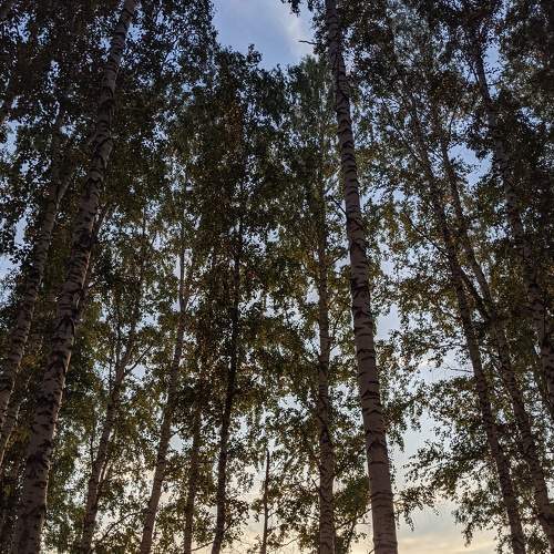 Photo #6989024