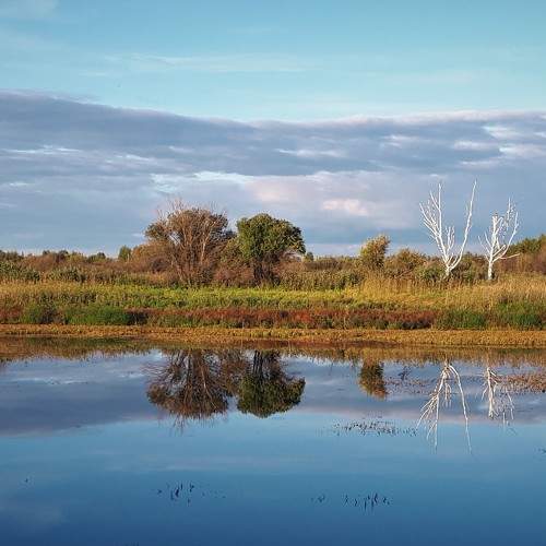 Photo #6989073