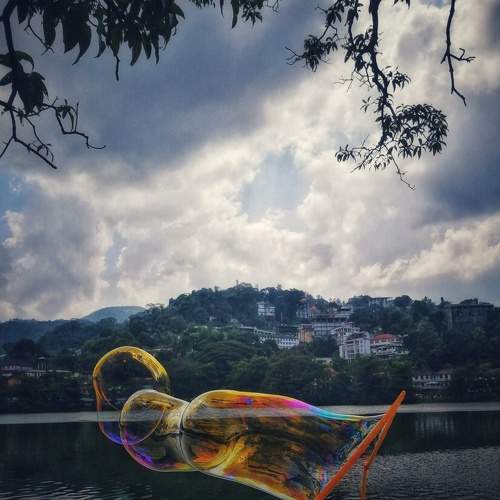 Photo #6989241