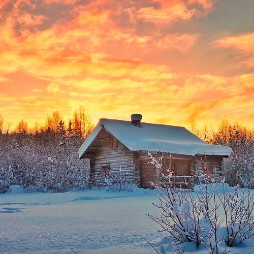 Photo #6989257