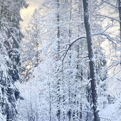 Photo #6989662