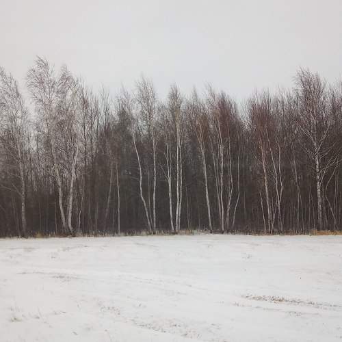 Photo #6990128