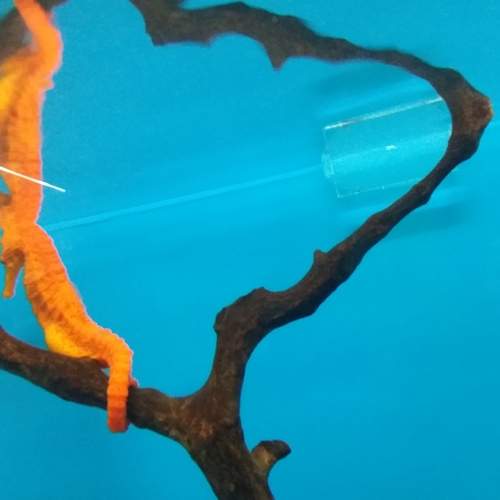Photo #6990193