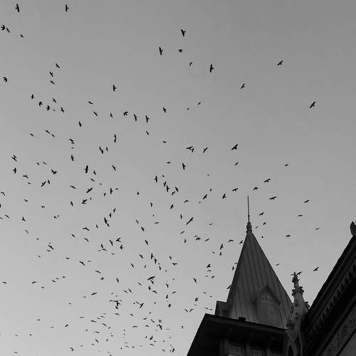 Photo #6990257