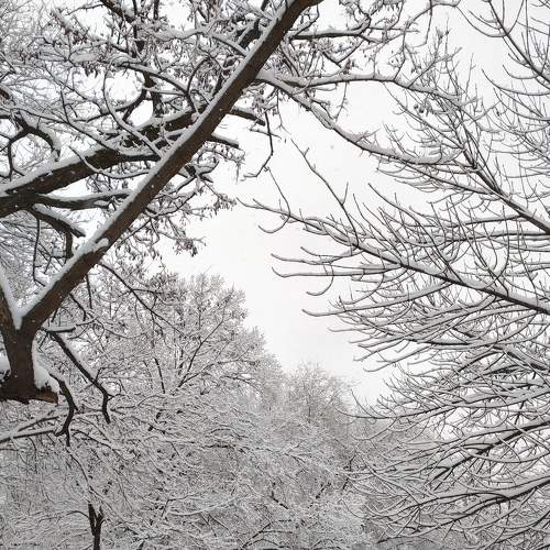 Photo #6990328