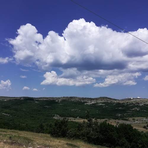 Фотография #6990413