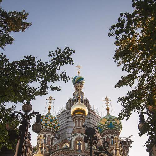 Photo #6990654