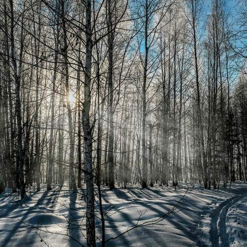 Photo #6990947